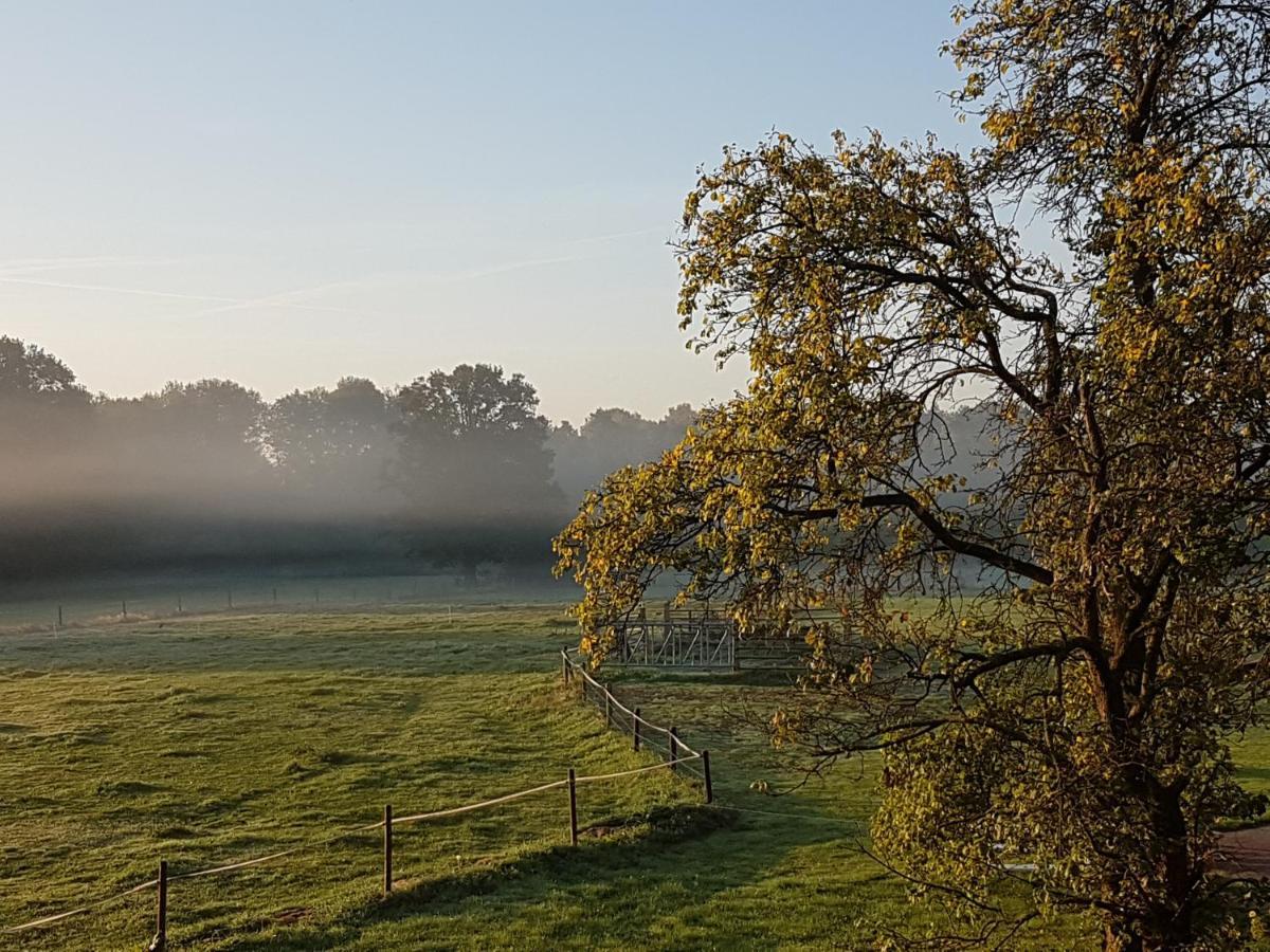 'T Buitenverblijf Erve Punte Losser Exteriér fotografie