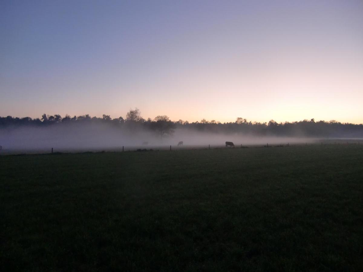 'T Buitenverblijf Erve Punte Losser Exteriér fotografie