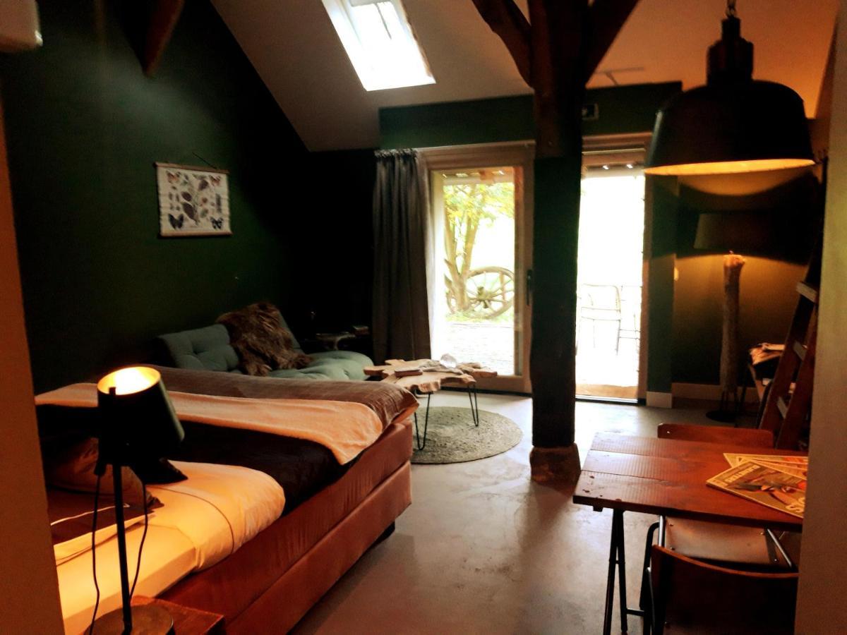 'T Buitenverblijf Erve Punte Losser Exteriér fotografie