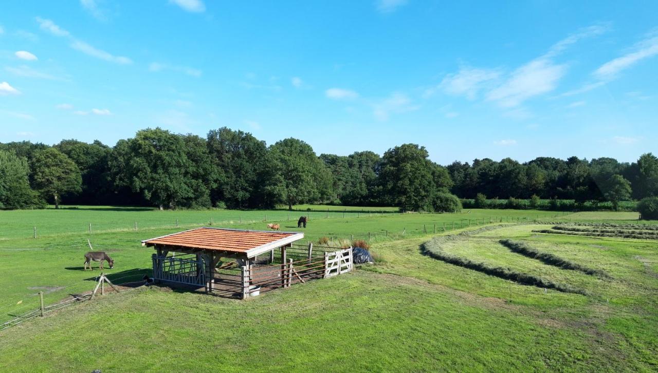'T Buitenverblijf Erve Punte Losser Exteriér fotografie