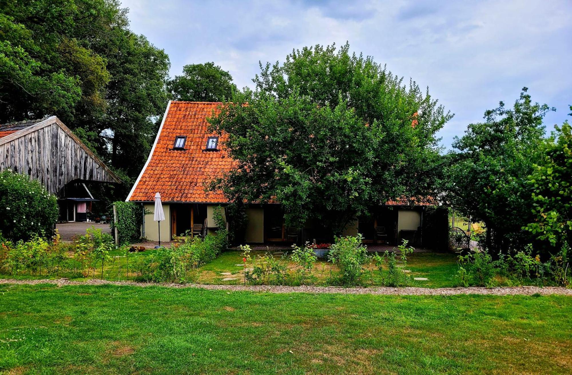 'T Buitenverblijf Erve Punte Losser Exteriér fotografie